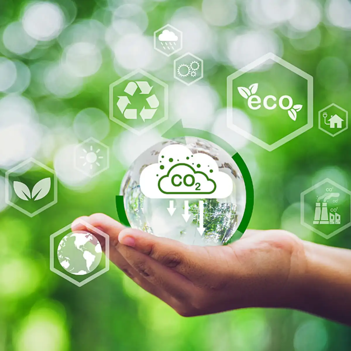 Sostenibilidad y Cambio Climático Honduras